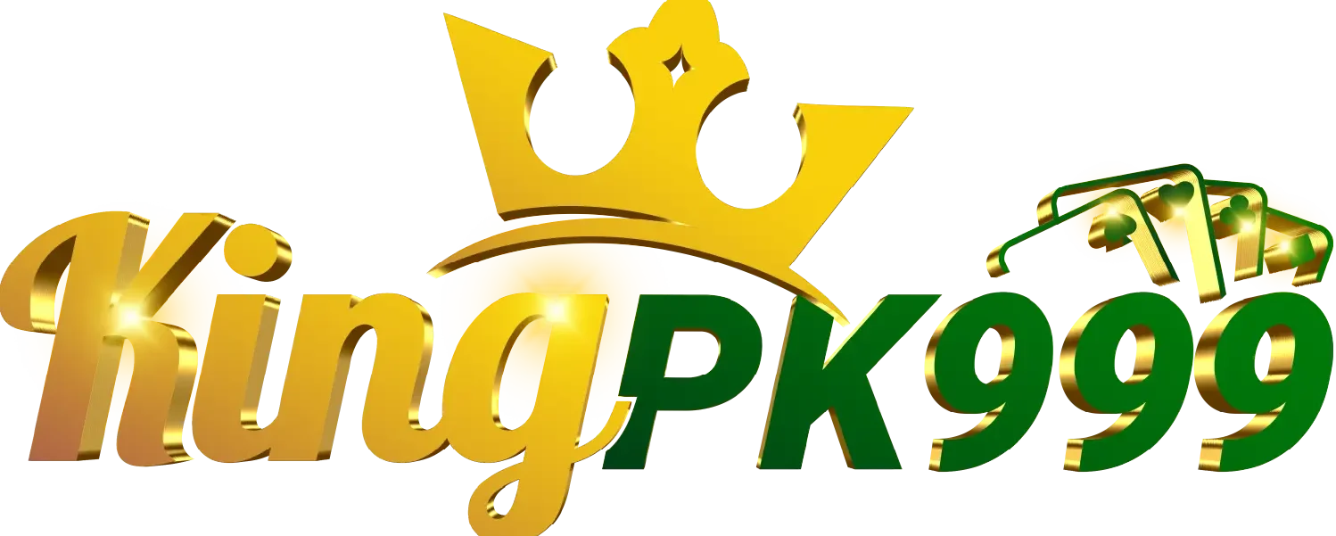 bdpk999.net Logo